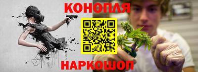 сатива Ирбит