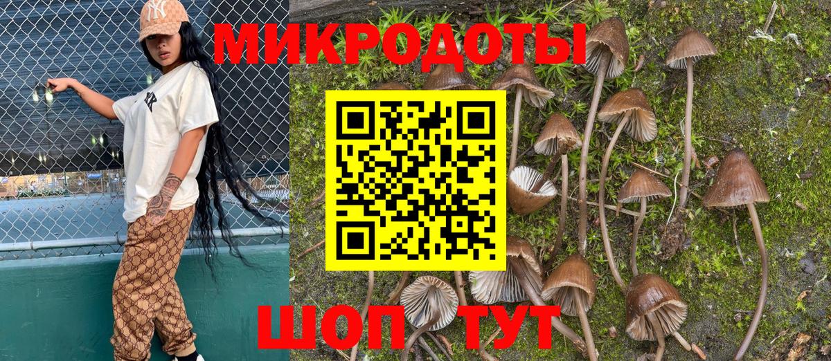 Псилоцибиновые грибы ЛСД  Вход с VPN  Псилоцибиновые грибы Magic Shrooms  Крымск 